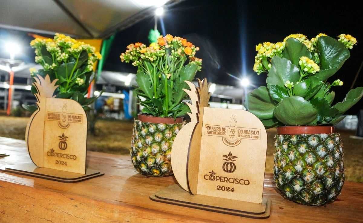 Inovação no campo e comunidade em festa