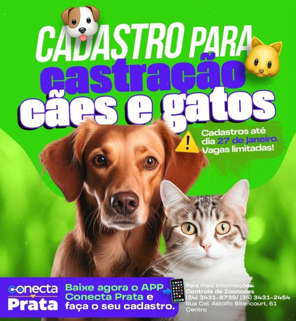 Cadastre seu animal de estimação para castração gratuita