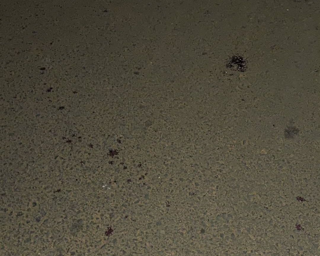 Homem é ferido com golpe de faca em bar na Vila Esperança, em Frutal