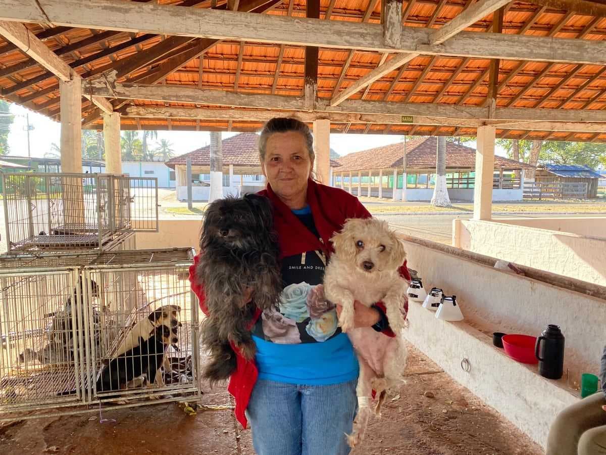 Prefeitura do Prata realiza castração de cães e gatos com CastraMóvel