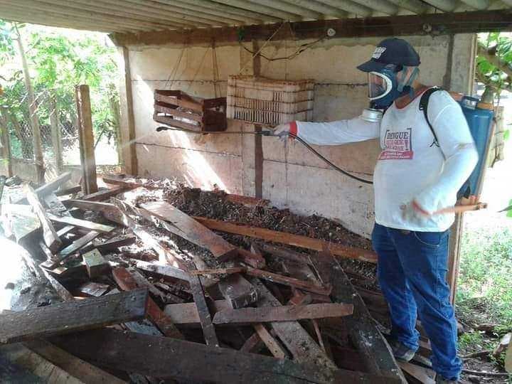 Secretaria de Saúde intensifica combate à Doença de Chagas em Itapagipe