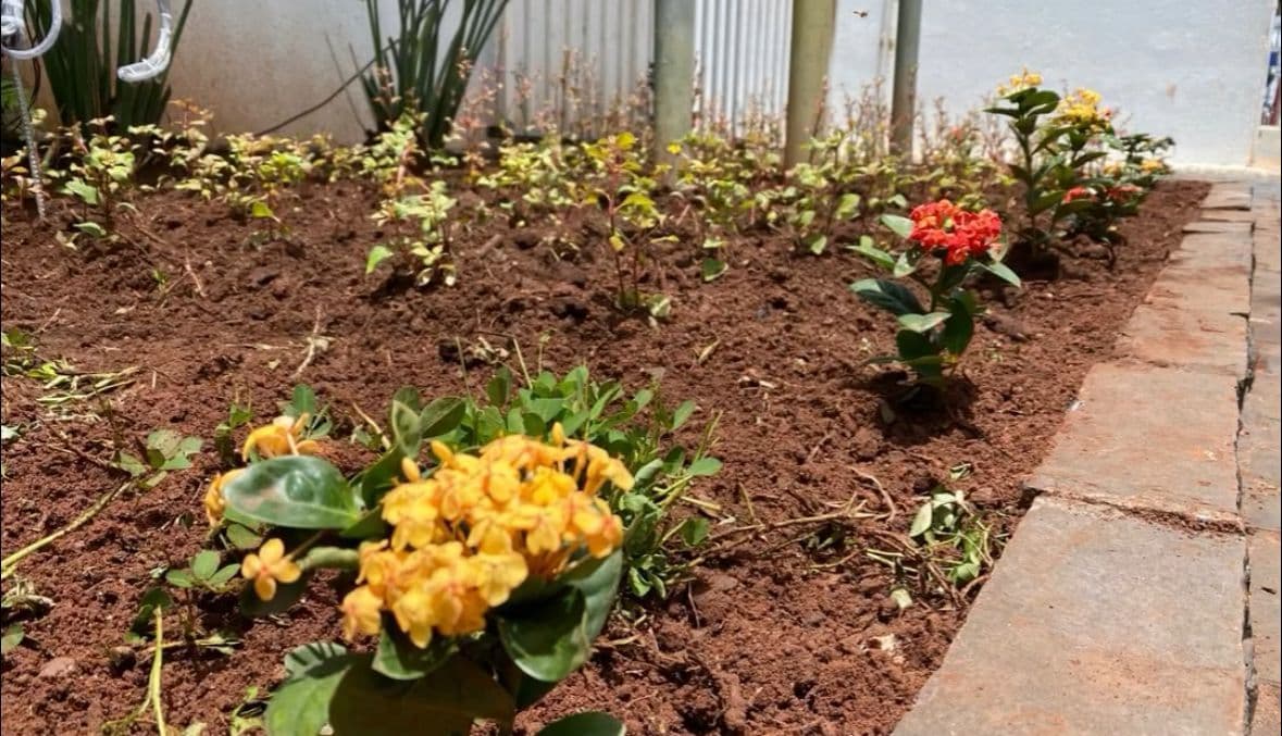 Meio ambiente e urbanismo