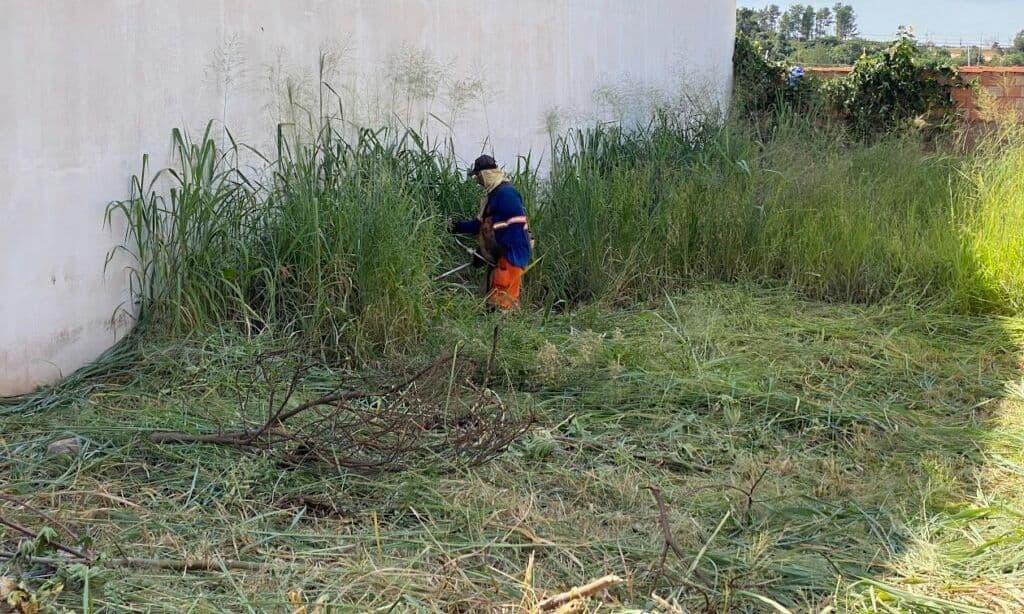 FISCALIZAÇÃO E MULTA PARA TERRENOS SUJOS