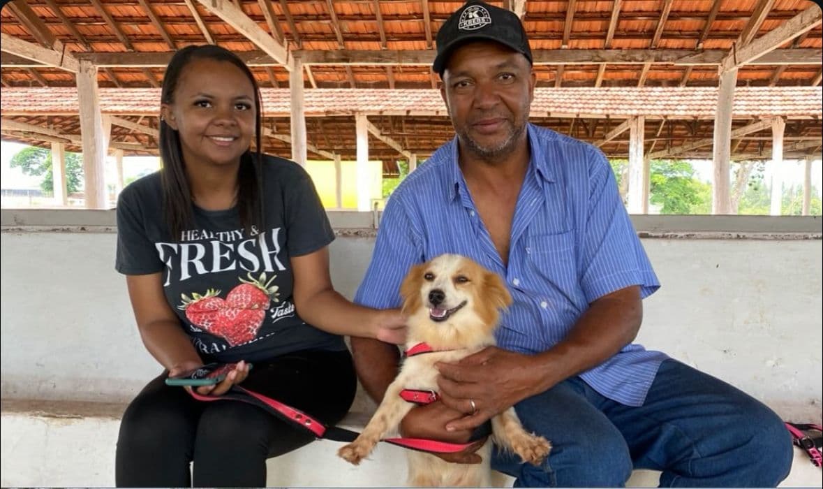 Campanha de castração de cães e gatos segue em andamento no Prata