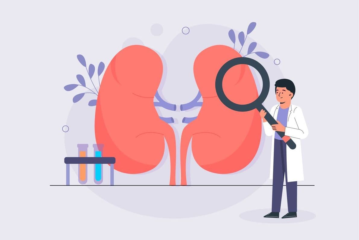 Dia Mundial do Rim reforça importância da prevenção contra doenças renais